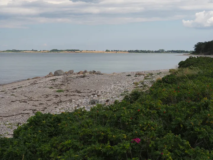 Halshuisene + Enebaerodde Beach (Denemarken)